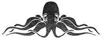 The Uncommon Octopus